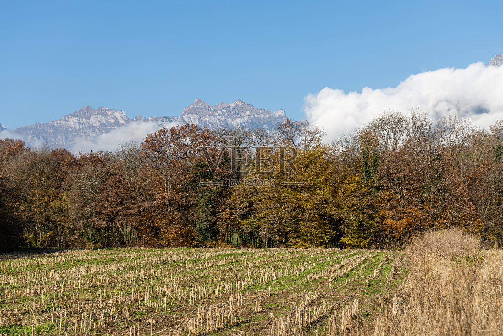 秋日清晨，乡村山林美景照片摄影图片