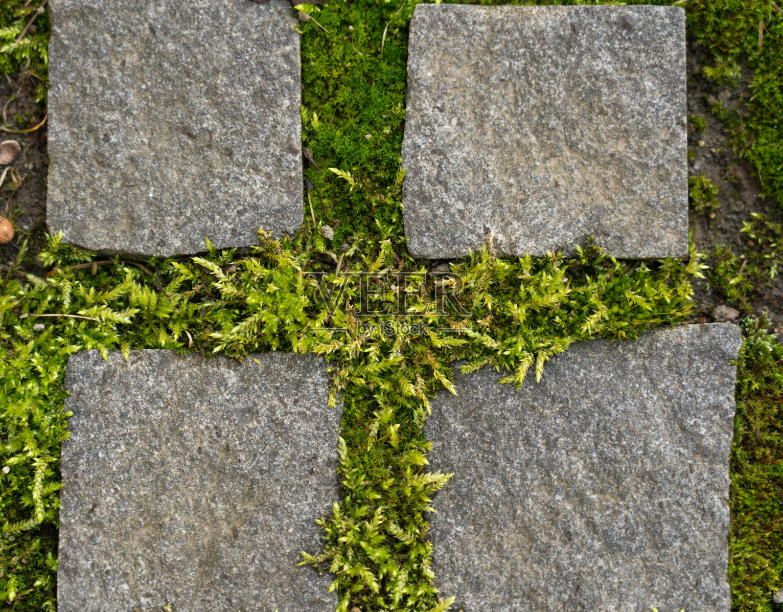 近距离的旧路面鹅卵石从城市的地方照片摄影图片