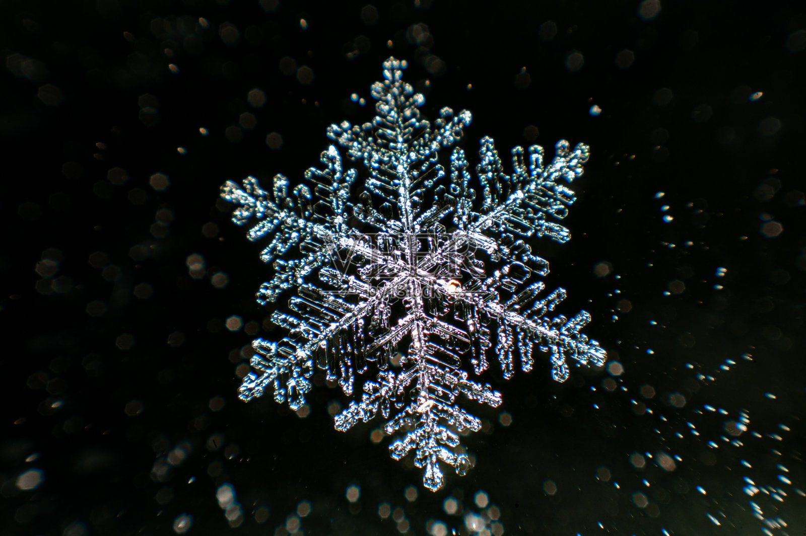 雪花-蕨类恒星树突类型照片摄影图片