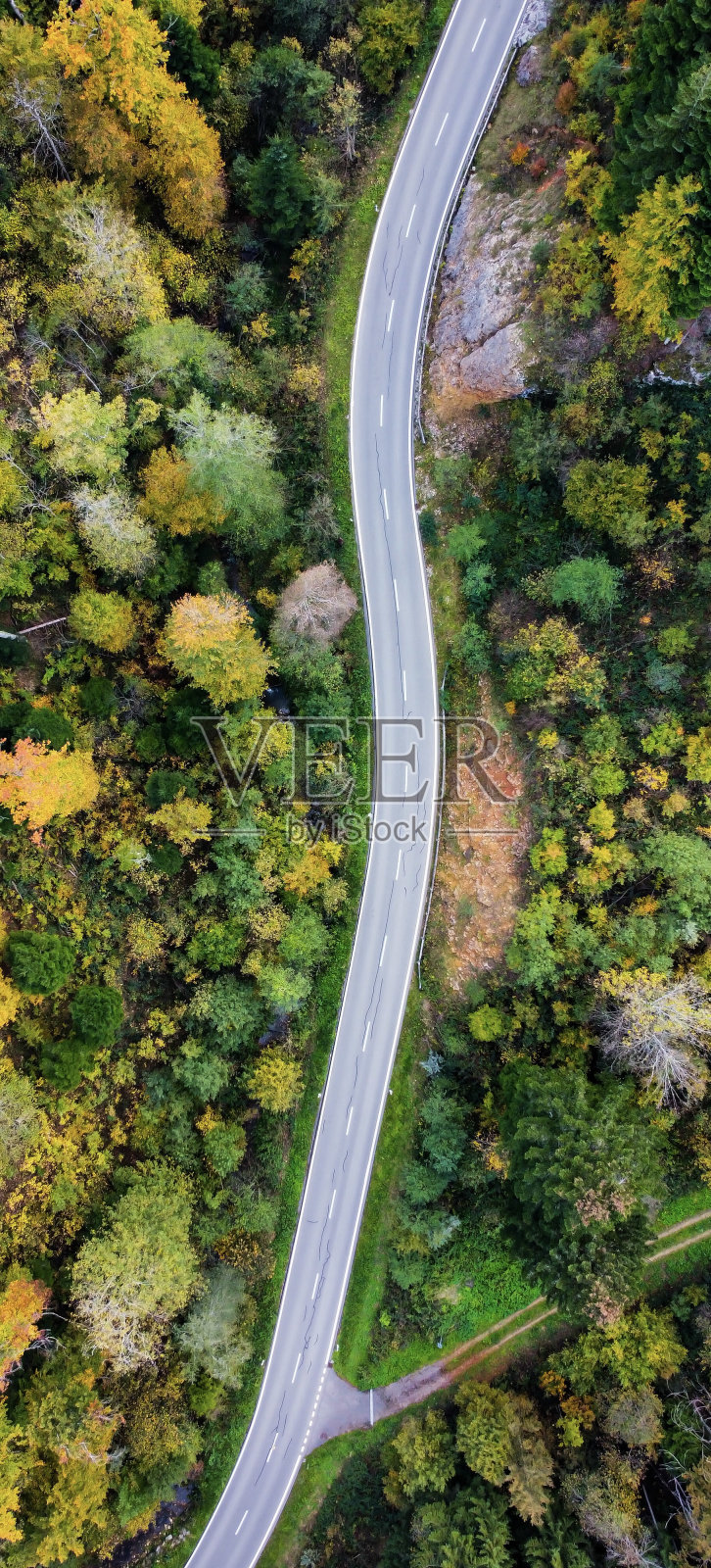 森林之路照片摄影图片