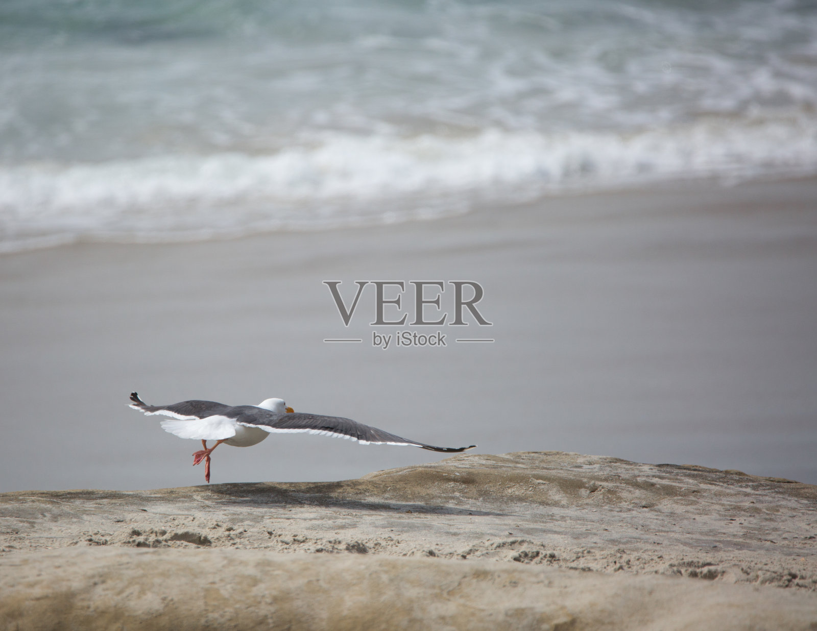 发射照片摄影图片