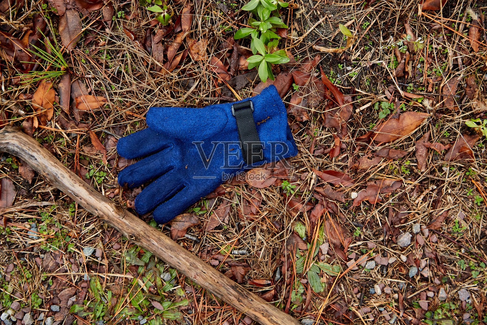 在潮湿地面上右手带木棍的单只蓝色手套照片摄影图片