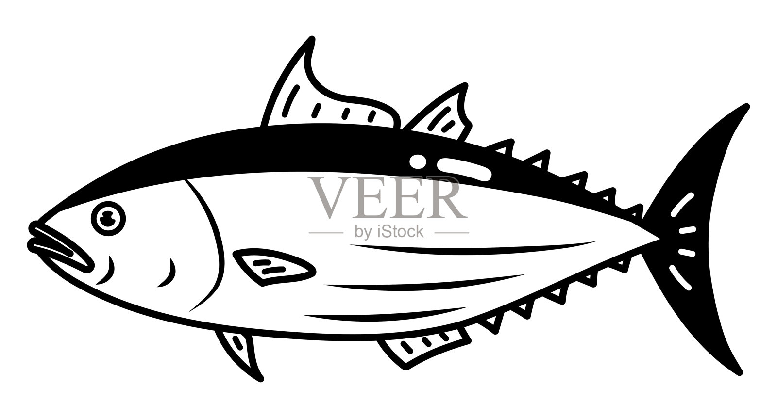 鲣鱼金枪鱼隔离矢量插图。插画图片素材