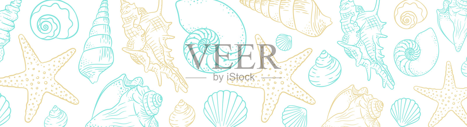 夏日时光横幅横幅背景。手绘海贝壳和星星收藏。海洋贝类的海洋插图插画图片素材