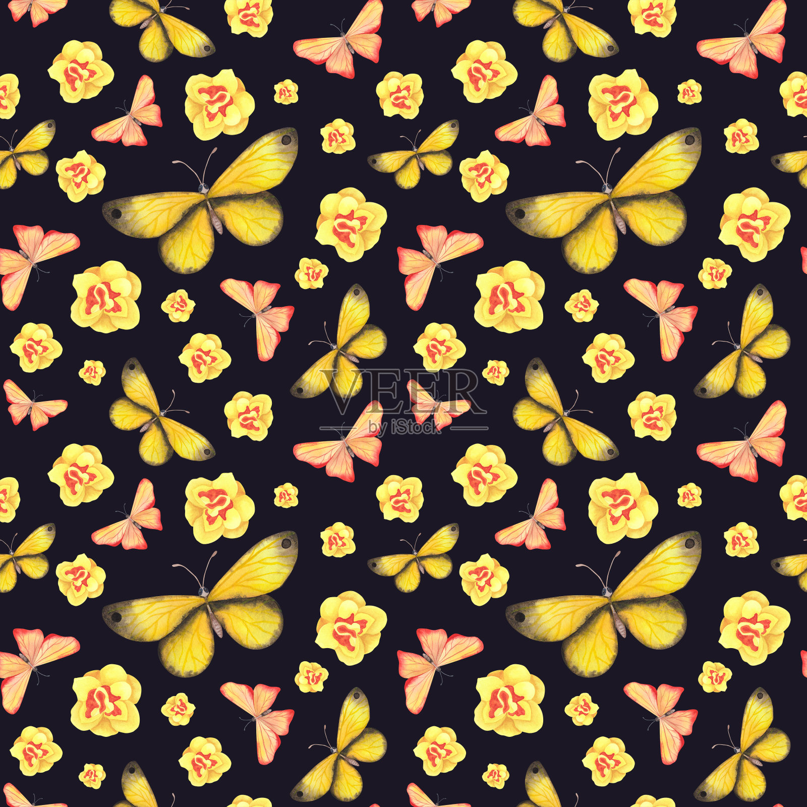 天衣无缝的黄蝴蝶图案与水仙隔离在黑暗上。用于设计织物的水彩插图插画图片素材