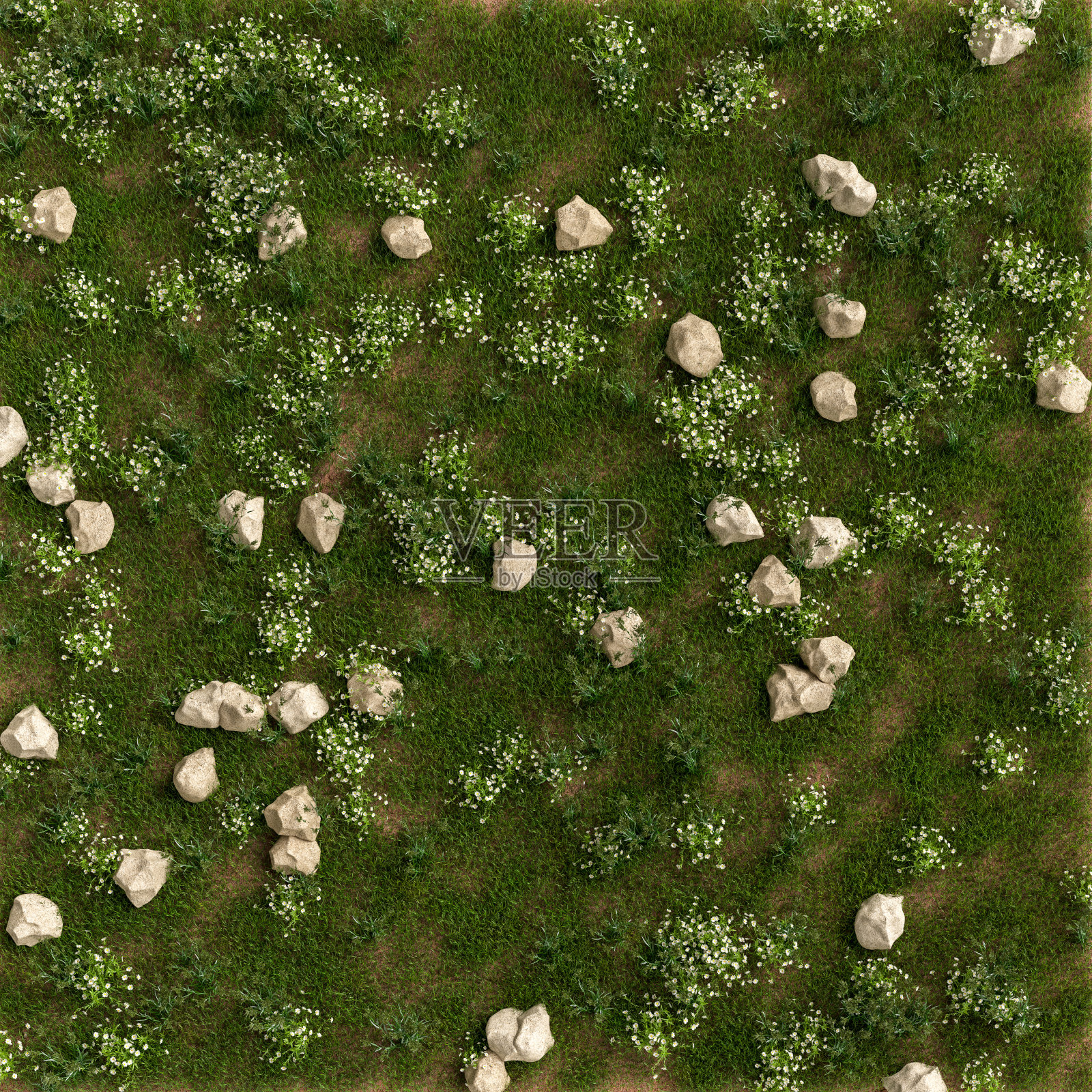 三维插图草的背景，草的纹理照片摄影图片