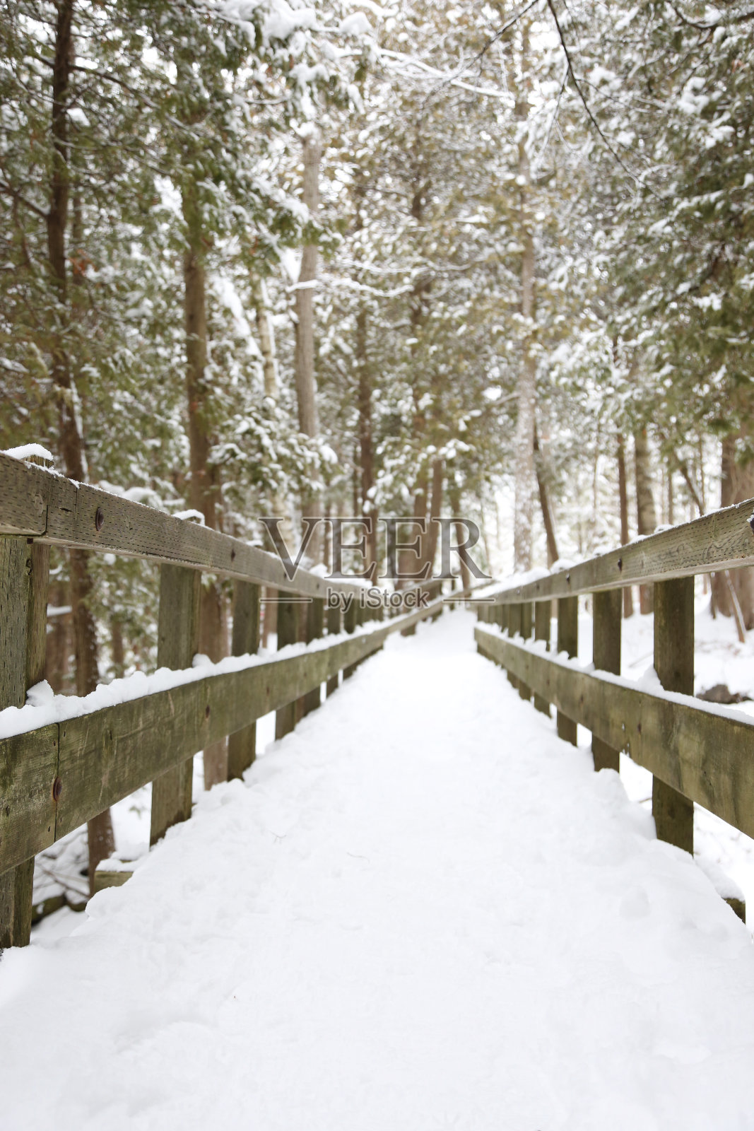 白雪皑皑的木板路低角度照片摄影图片