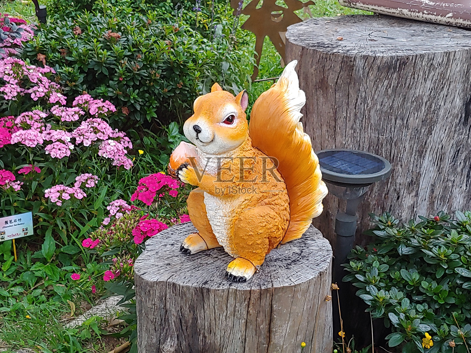 展览中的艺术装饰照片摄影图片