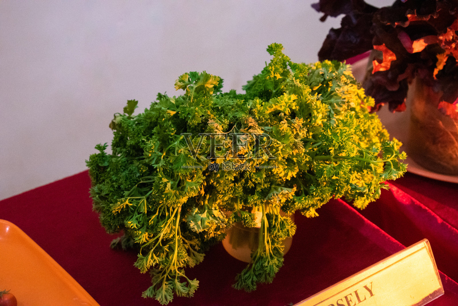 阳光下的欧芹叶。照片摄影图片