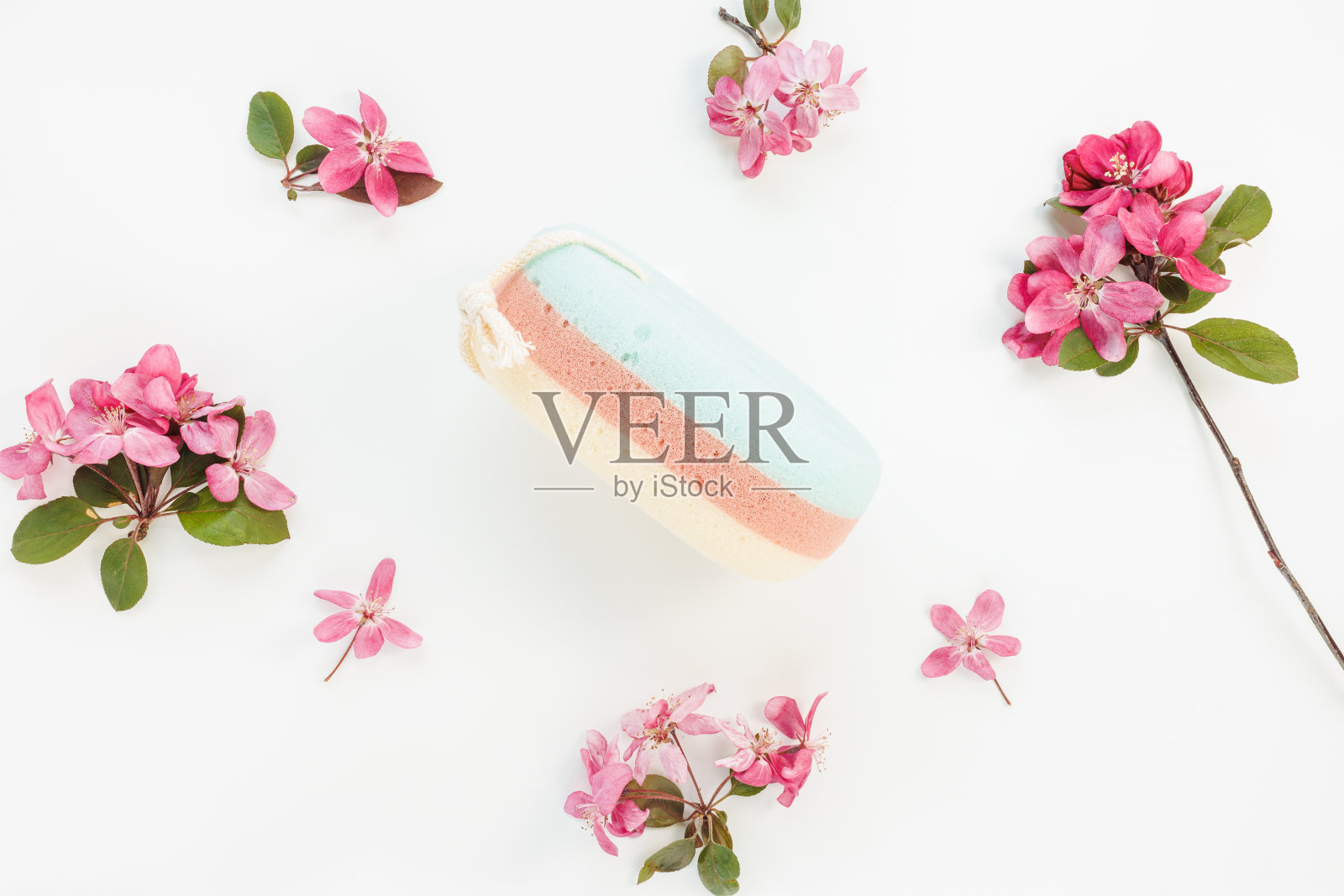 彩色沐浴海绵在白色花卉背景照片摄影图片