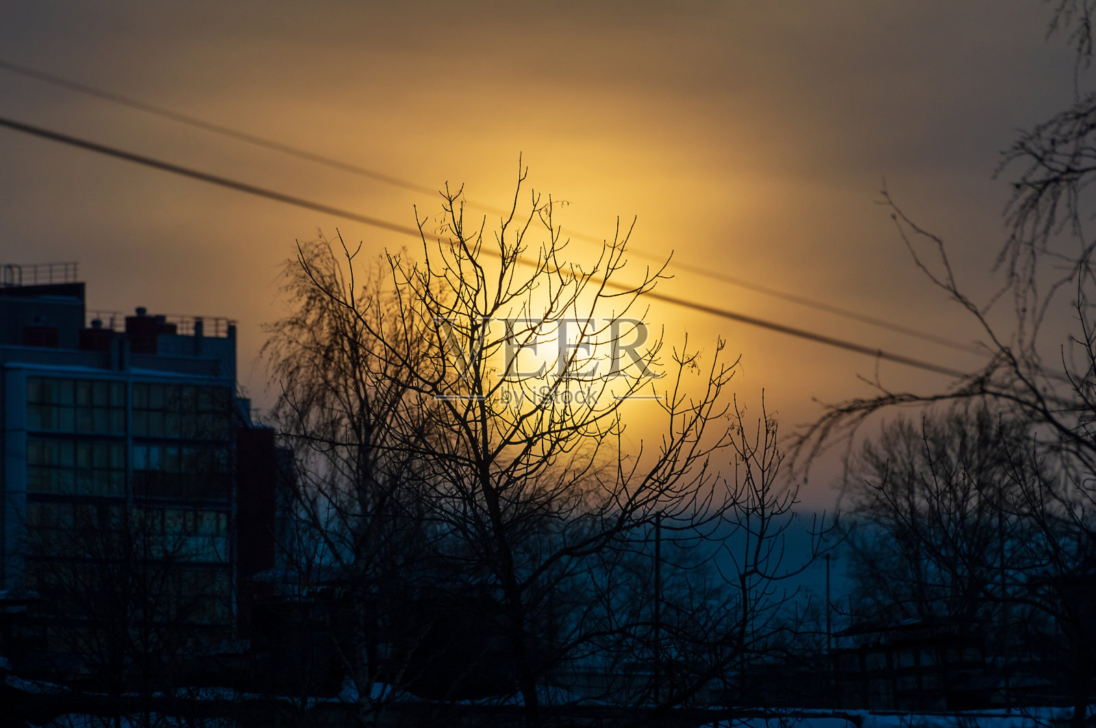 光秃秃的树枝映衬着夕阳。城市的冬日日落。照片摄影图片