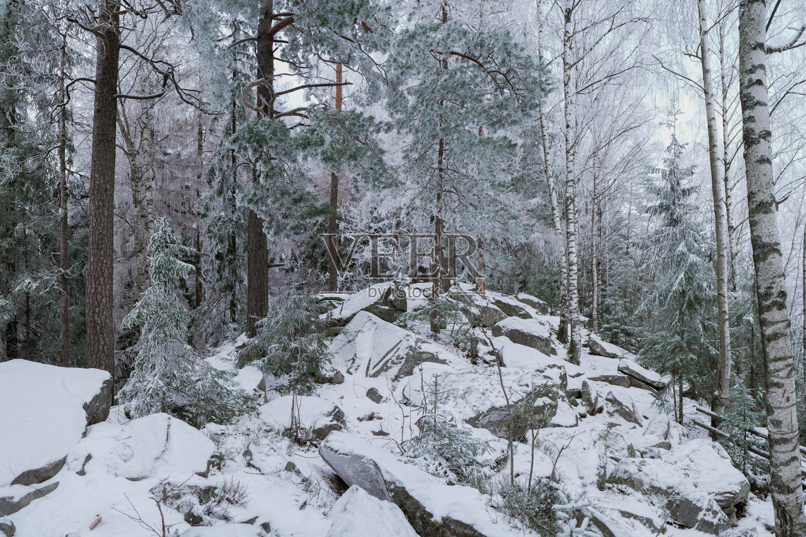 童话般的冬季森林被白雪覆盖照片摄影图片