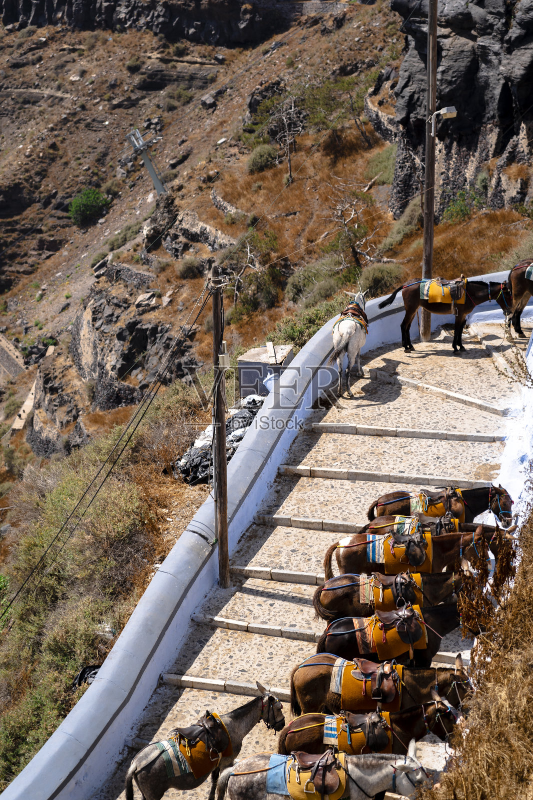 圣托里尼岛楼梯上的一排驴照片摄影图片