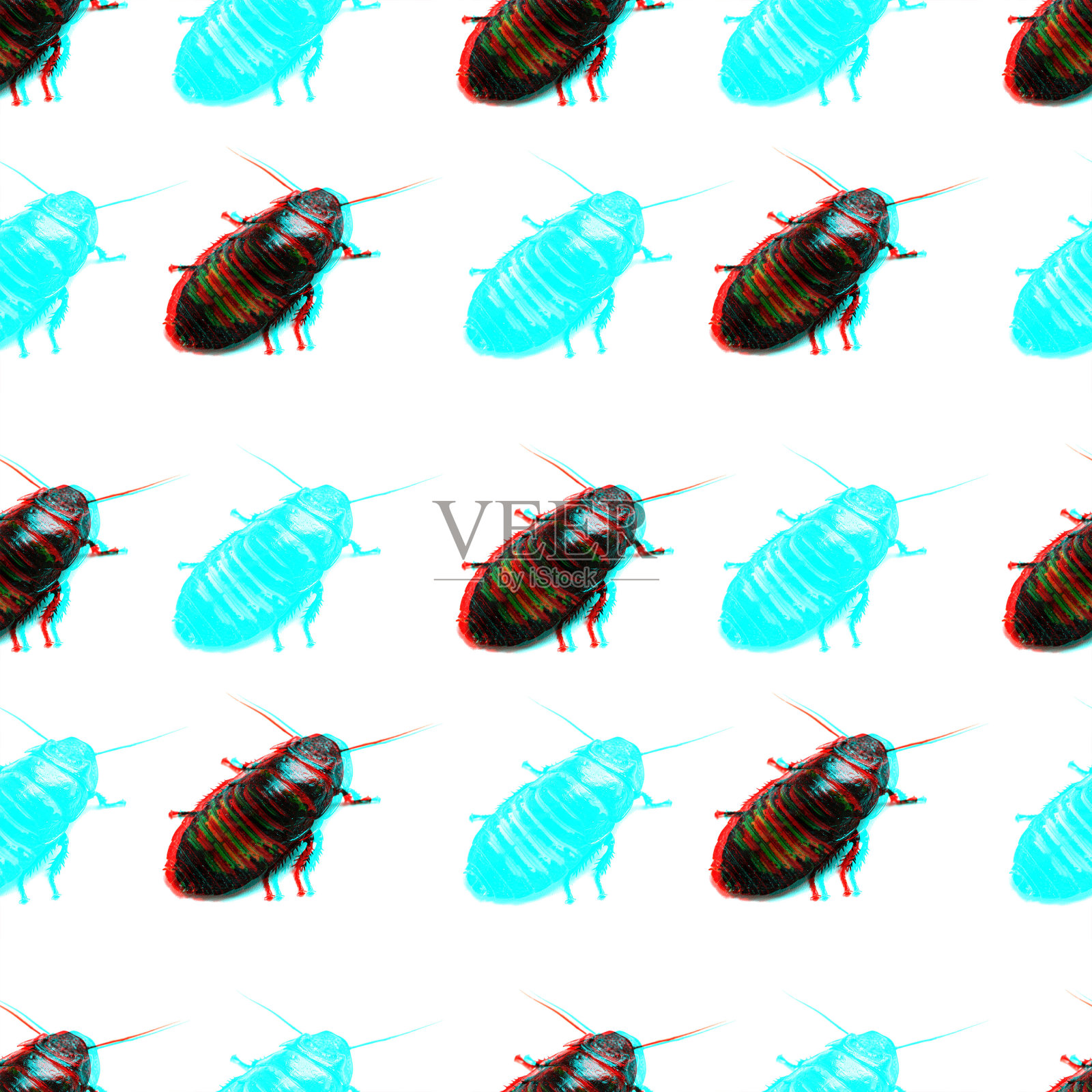 巨大的马达加斯加嘶嘶蟑螂与故障效果，无缝模式照片摄影图片