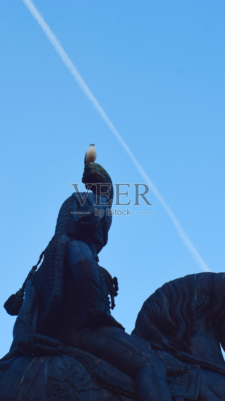雕塑上的鸟照片摄影图片