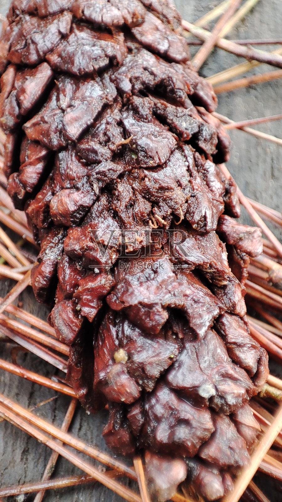 微距照片，老松果照片摄影图片