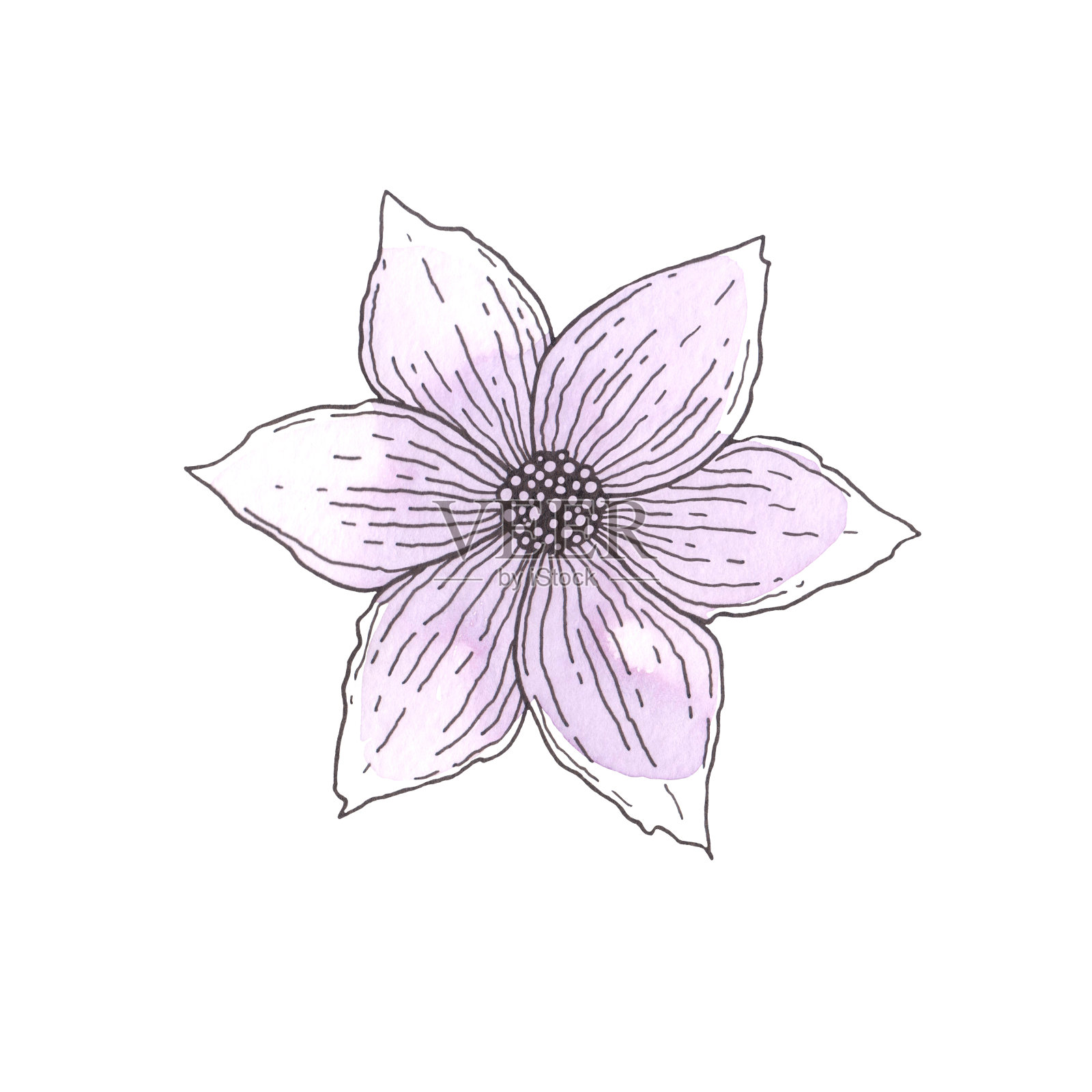 手是手绘的，水彩画，精致，丁香花的轮廓。插画图片素材