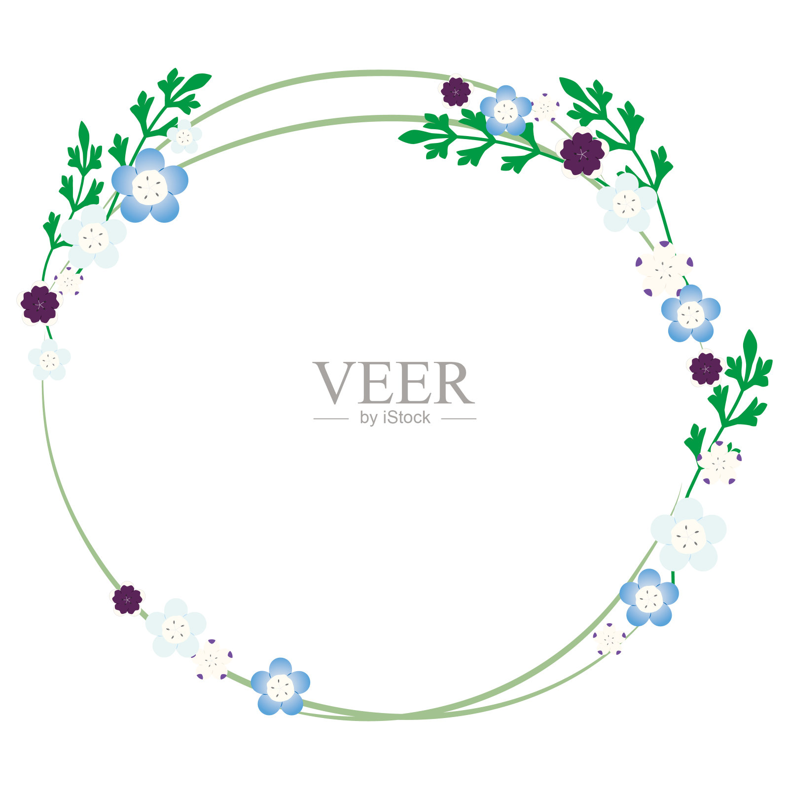 嗜nemophila圆形框架的插图。插画图片素材