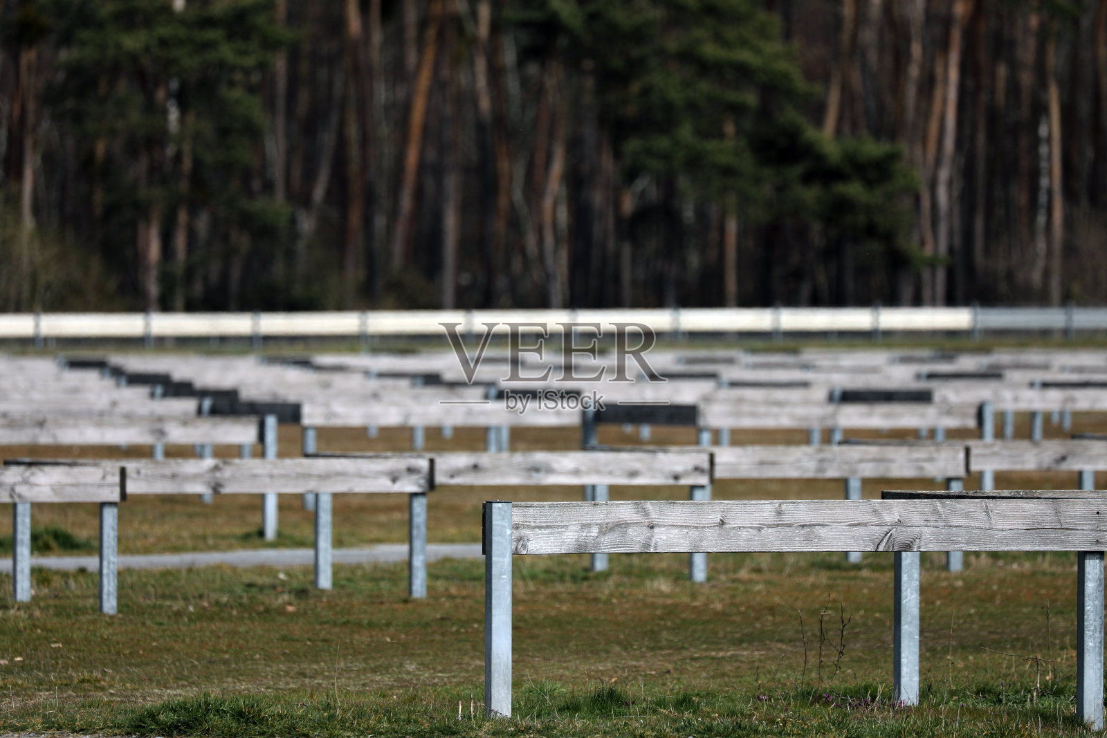 汽车和大篷车停在草地上照片摄影图片