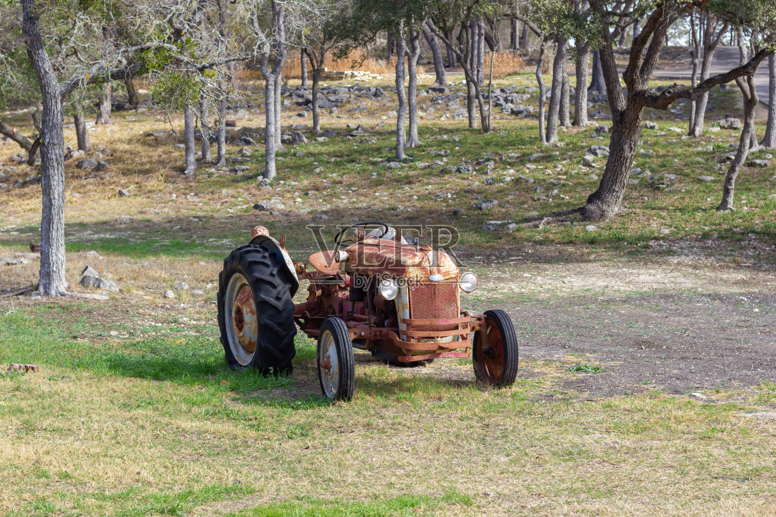 森林里的老式拖拉机，背景是树木照片摄影图片