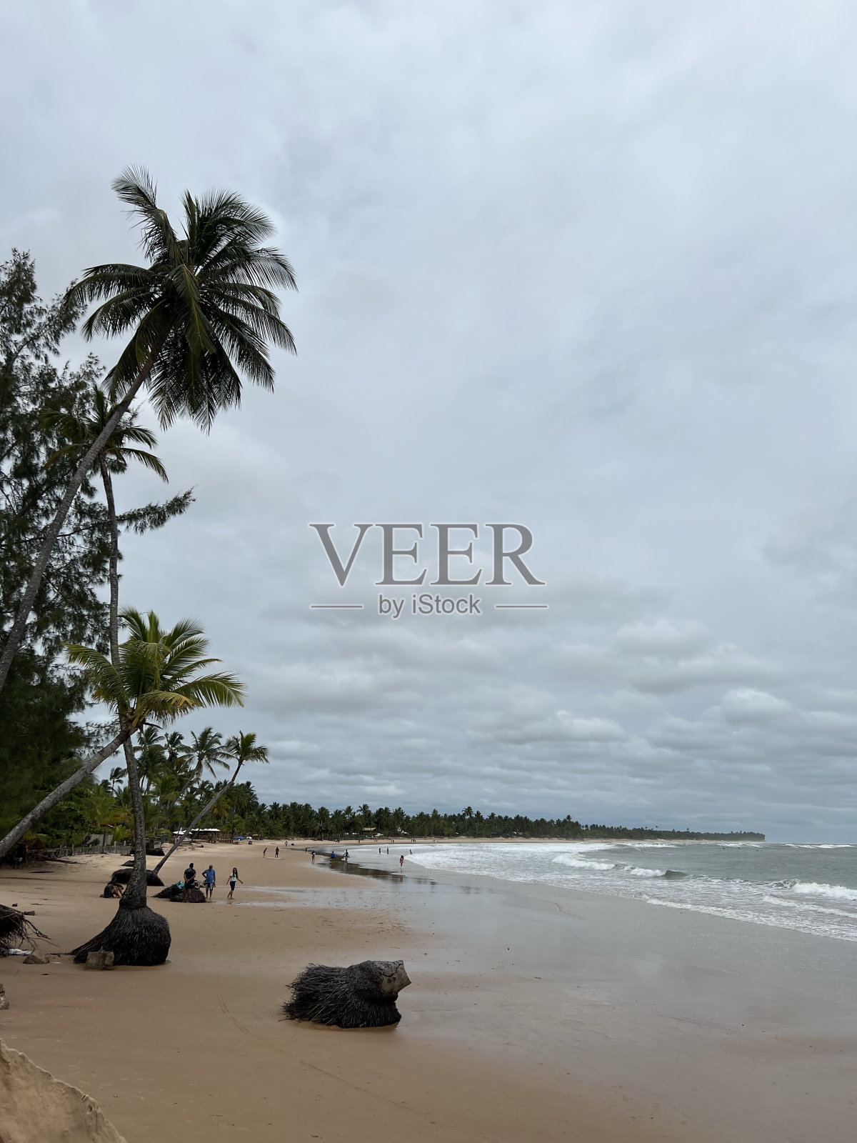 假期照片摄影图片