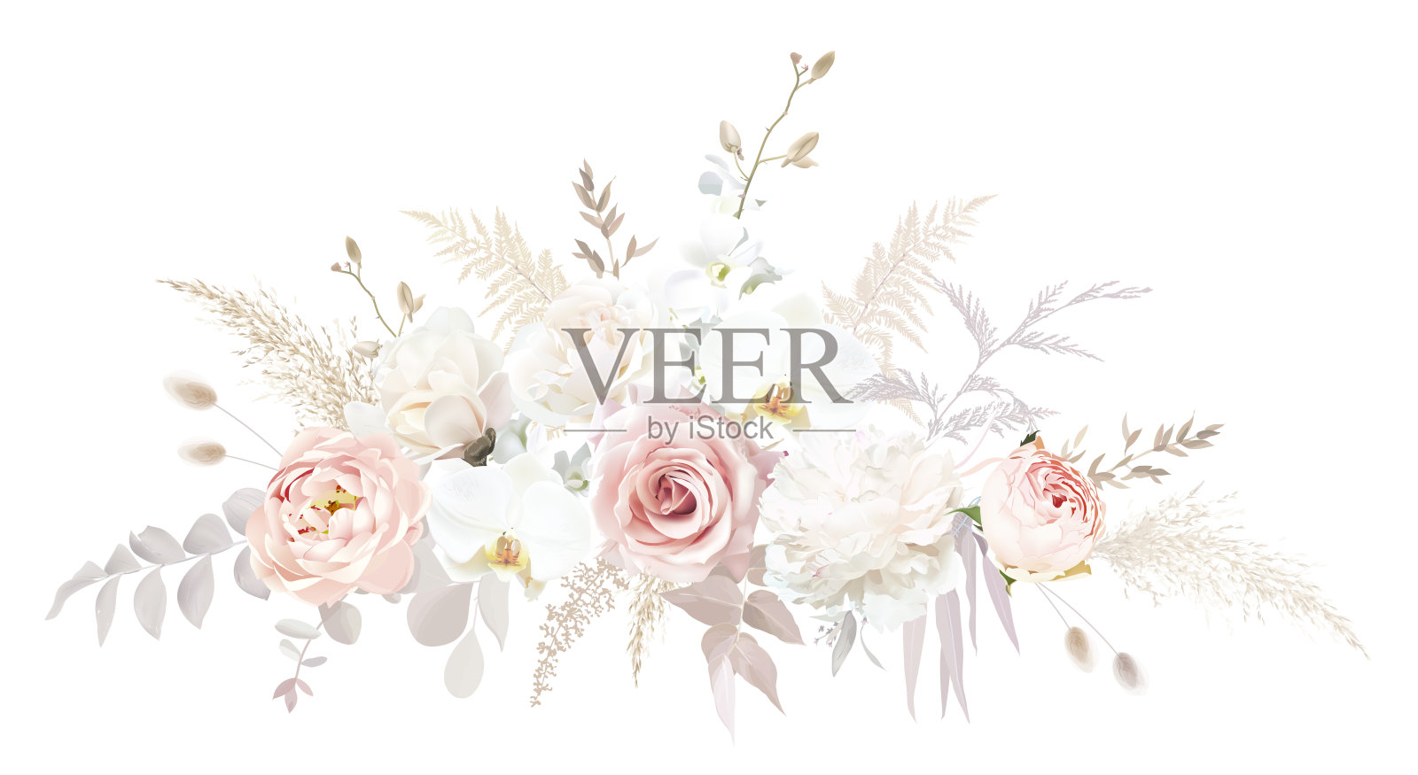 粉嫩的潘帕斯草，乳白色的牡丹，乳白色的兰花，粉粉色的玫瑰插画图片素材