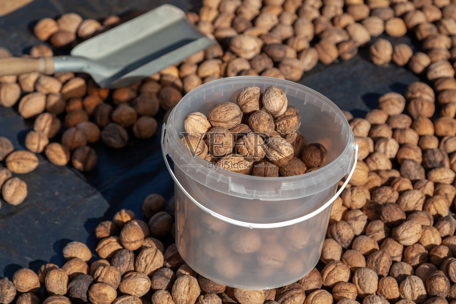 核桃桶抵得上一层坚果照片摄影图片