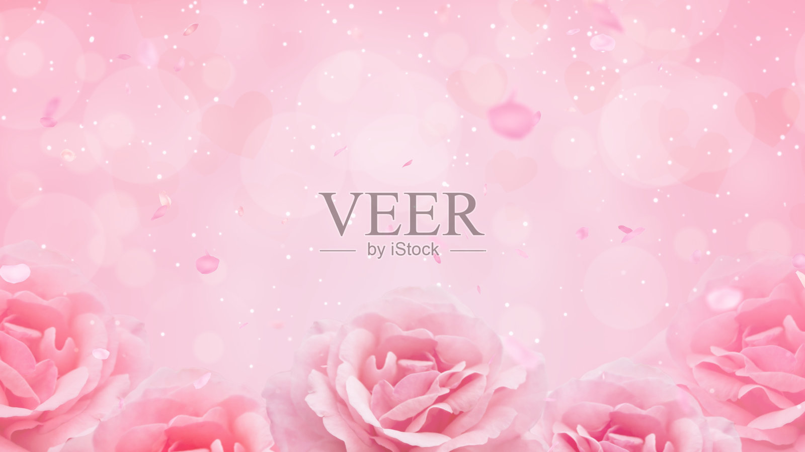 飘落的玫瑰花瓣，情人节背景照片摄影图片