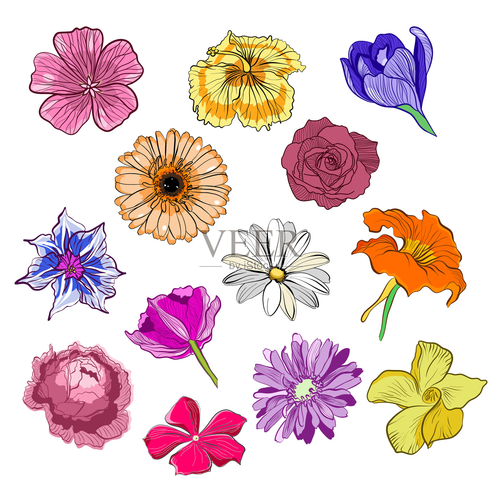 花头矢量插图集插画图片素材