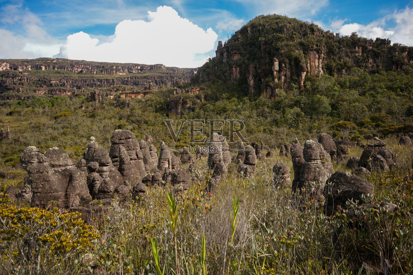 委内瑞拉Amuri Tepui的山丘和砂岩岩层上有黑色的柱子和柱子照片摄影图片