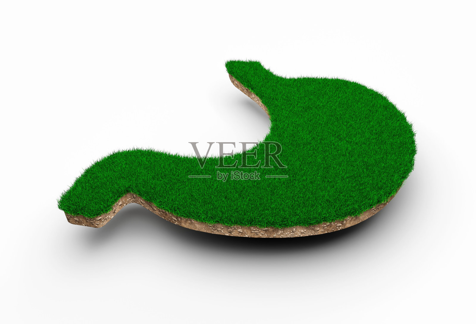 三维渲染的胃的形状由绿色的草照片摄影图片