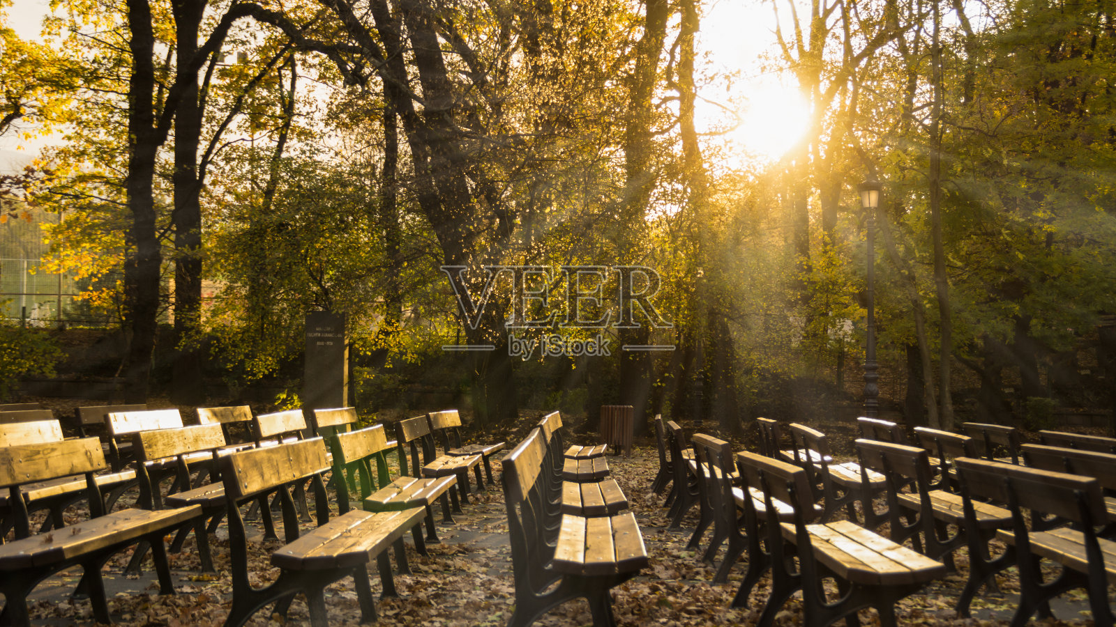 阳光透过树木照射在公园长椅上的美丽景色照片摄影图片