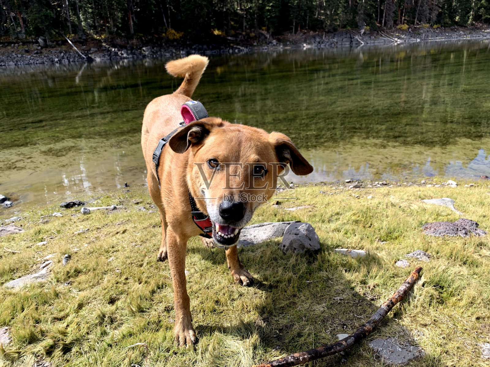 地球的美丽照片摄影图片