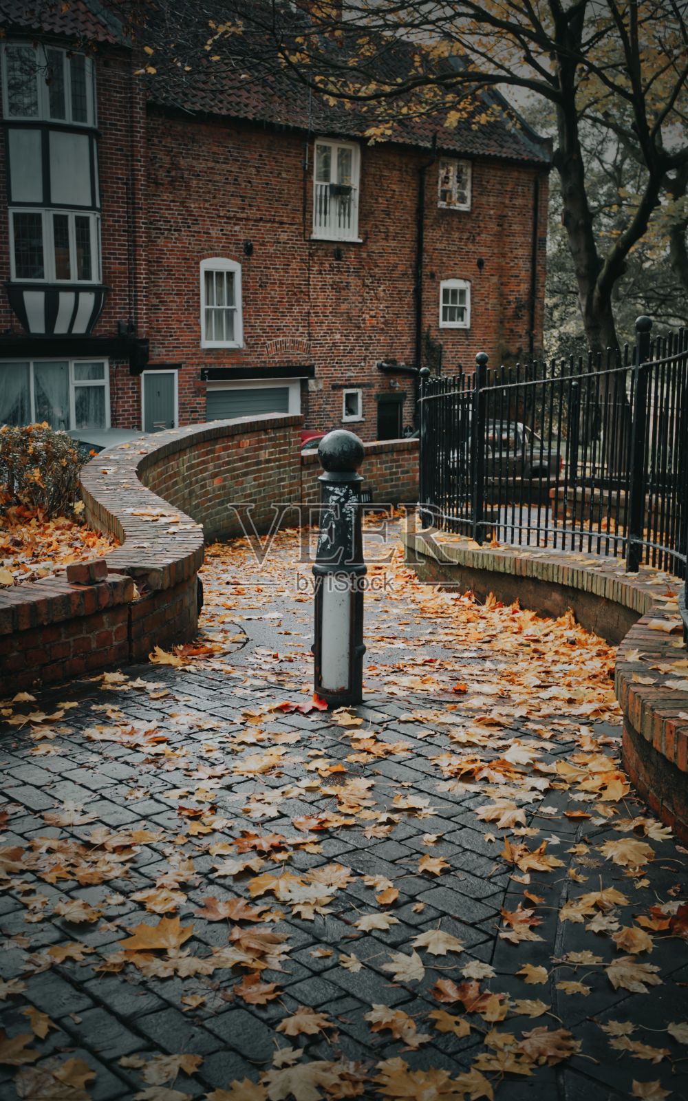 街道摄影的路径与橙色的秋叶在地上照片摄影图片