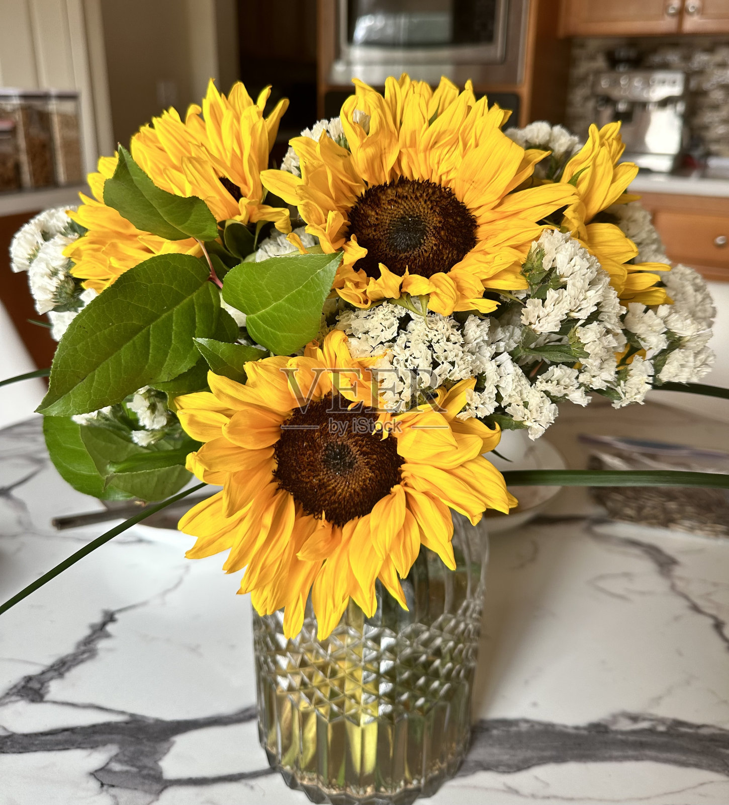 向日葵照片摄影图片