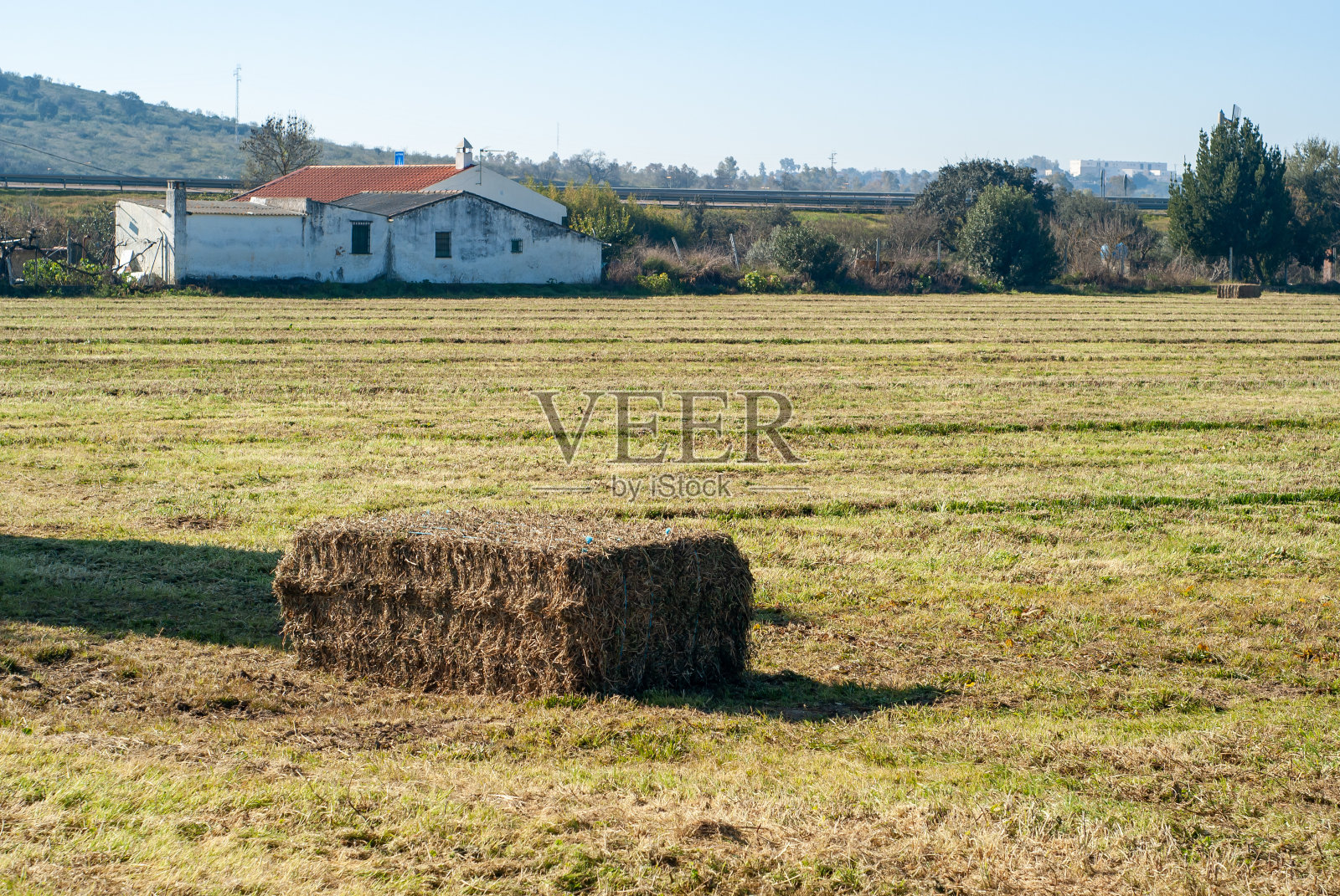 农场田地里有捆干草。照片摄影图片