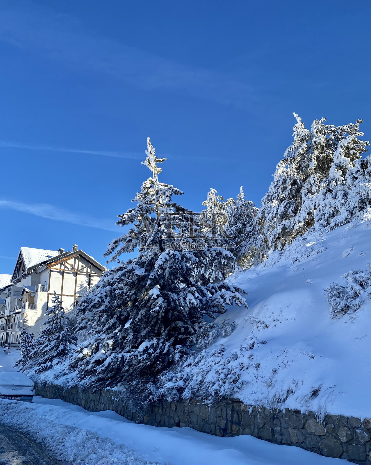 冬天照片摄影图片