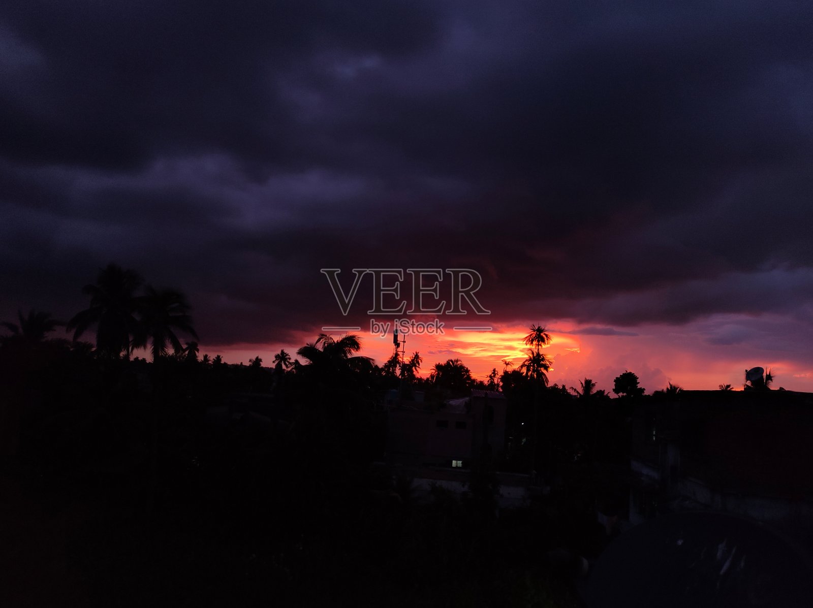 日落时棕榈树上空多云的美丽景色照片摄影图片