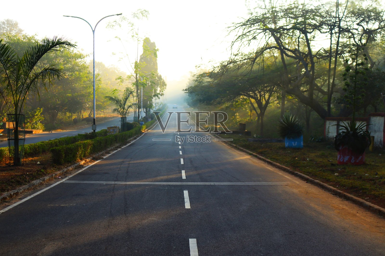 早晨在路上照片摄影图片