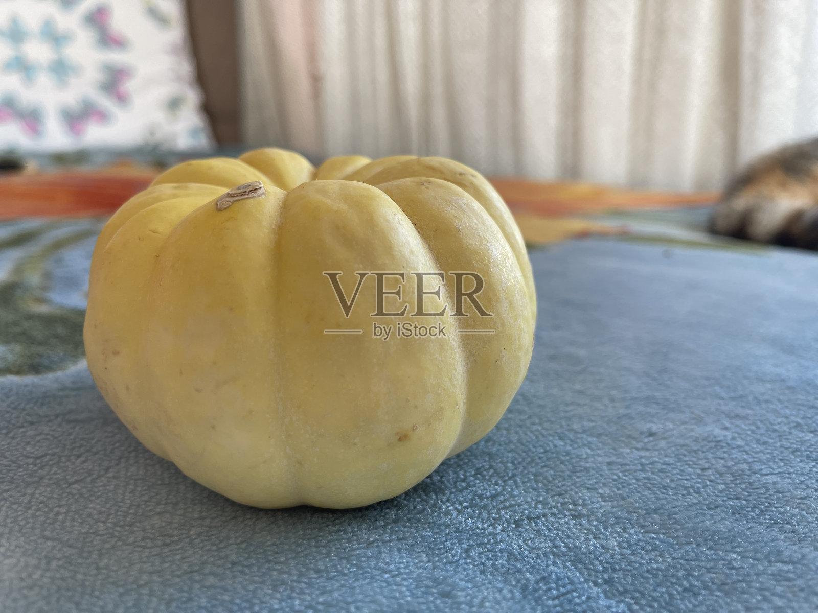 毯子上装饰的南瓜照片摄影图片