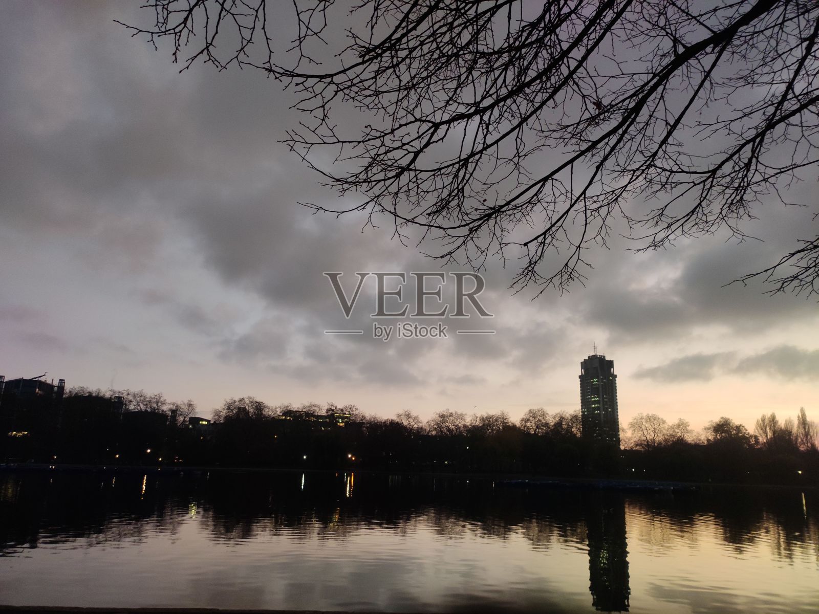 在日落时看到的湖岸上的树线剪影照片摄影图片