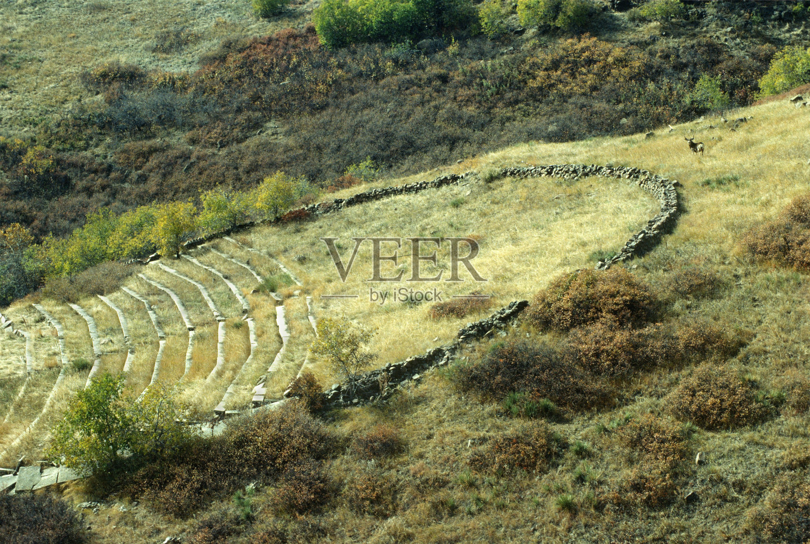 大萧条时期圆形剧场西乔治营南表山金色科罗拉多照片摄影图片