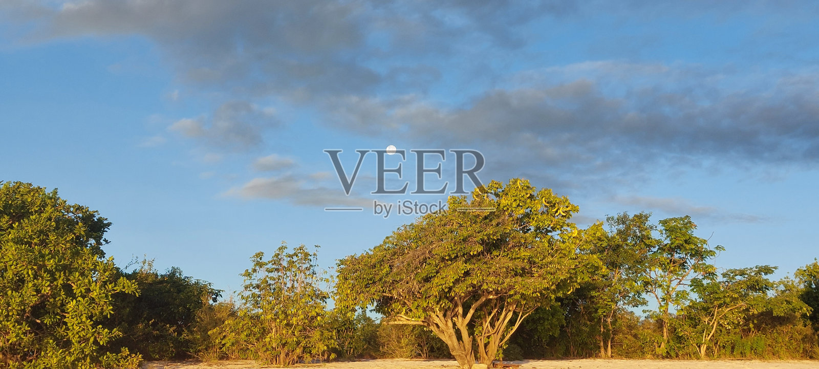 天然美女照片摄影图片