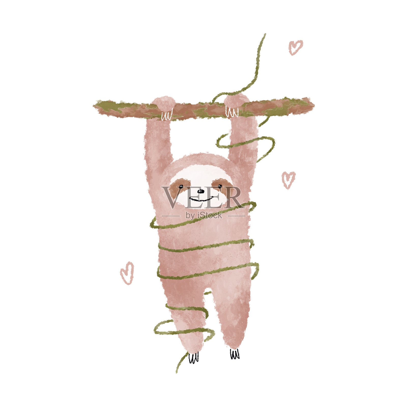 小树懒画画。有趣的热带动物插图插画图片素材