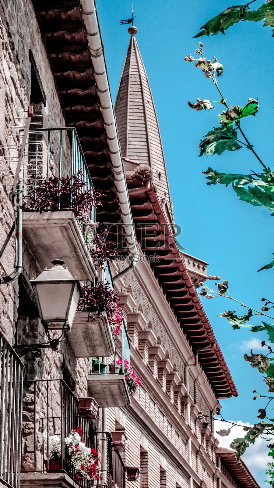 在一座古老的历史建筑旁边的阳台上垂直拍摄的花卉花园照片摄影图片