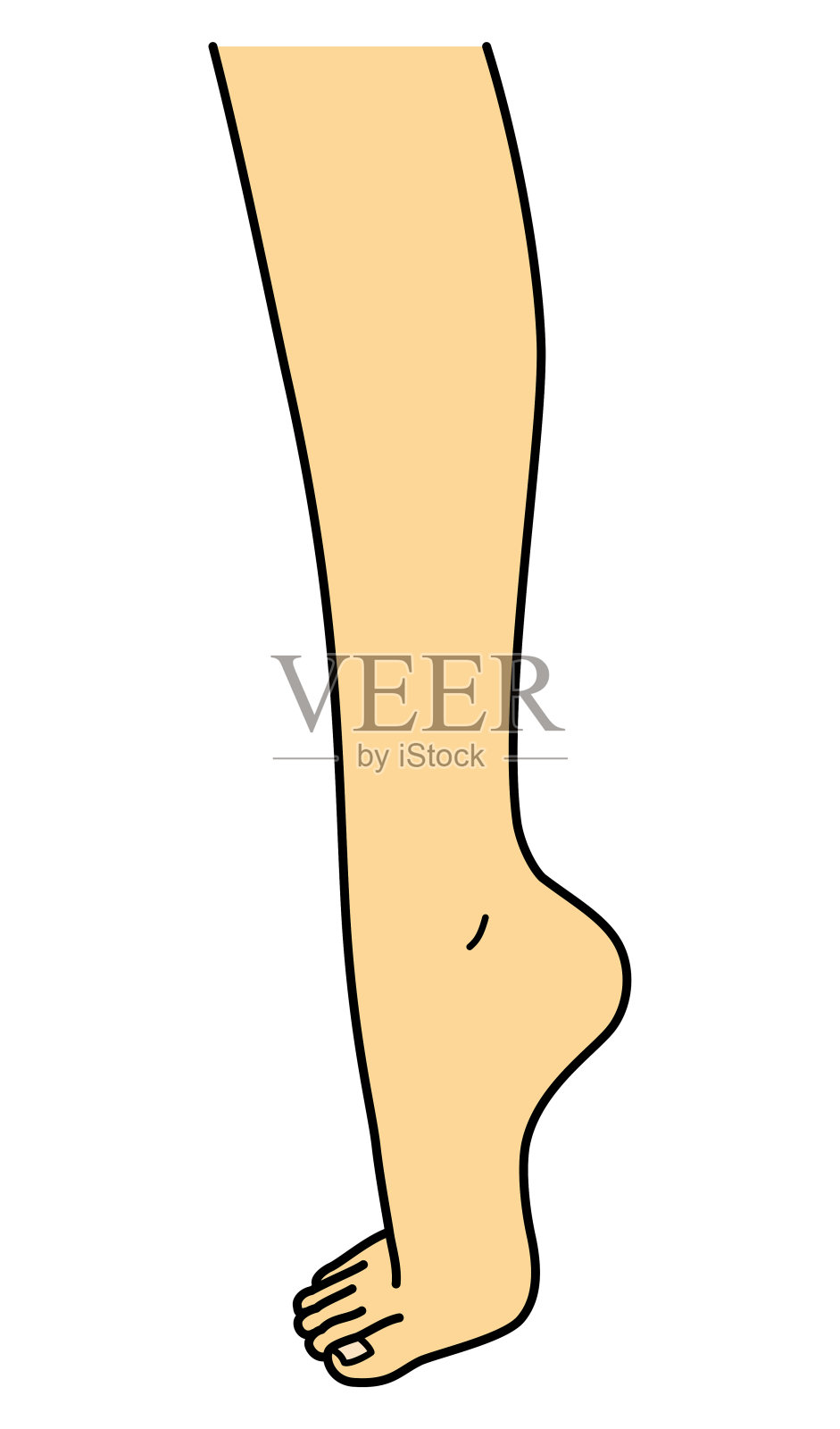 光脚，腿，脚尖，侧面视图，插图插画图片素材