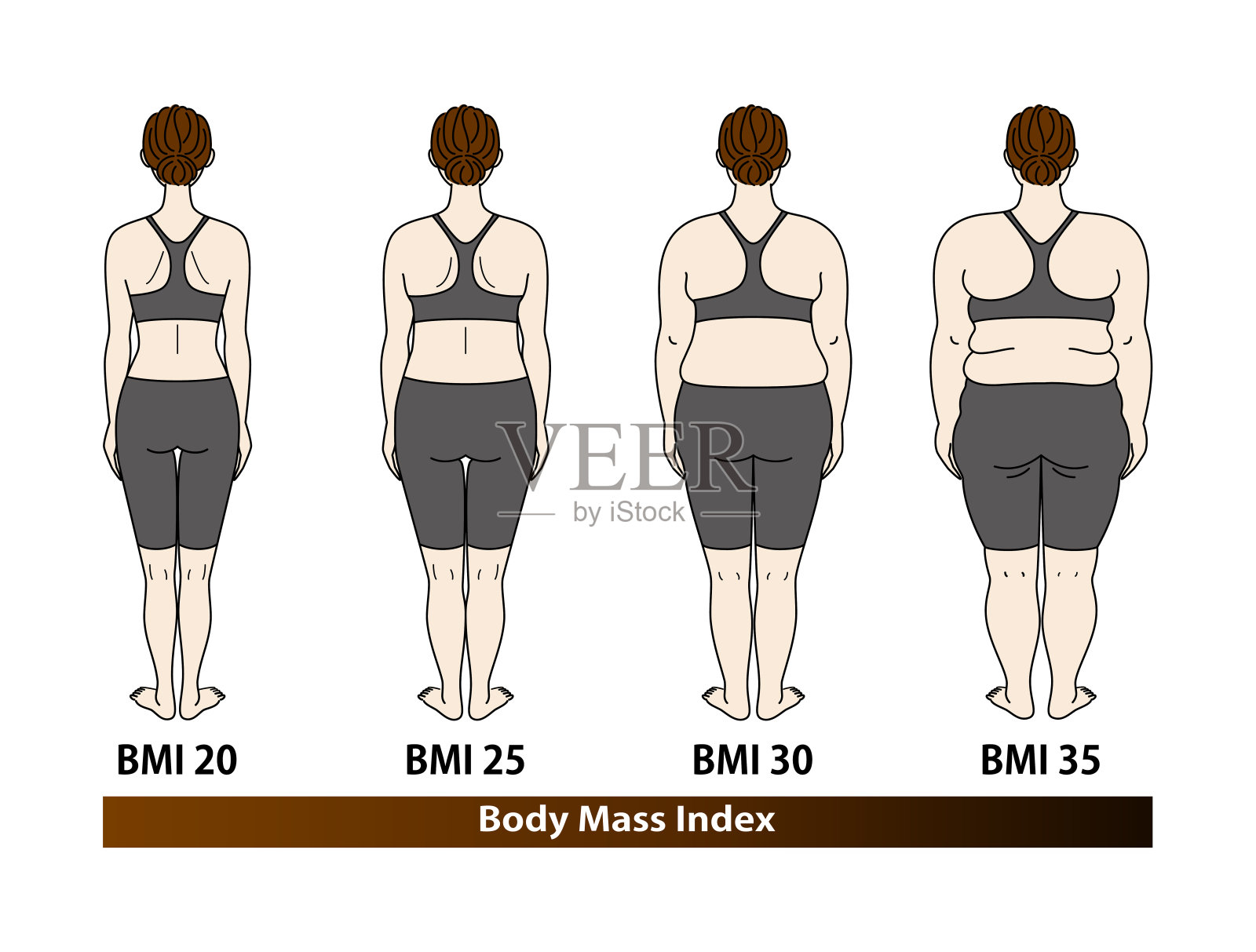 体型随体重指数变化。女性后视图。BMI(身体质量指数)向量。插画图片素材