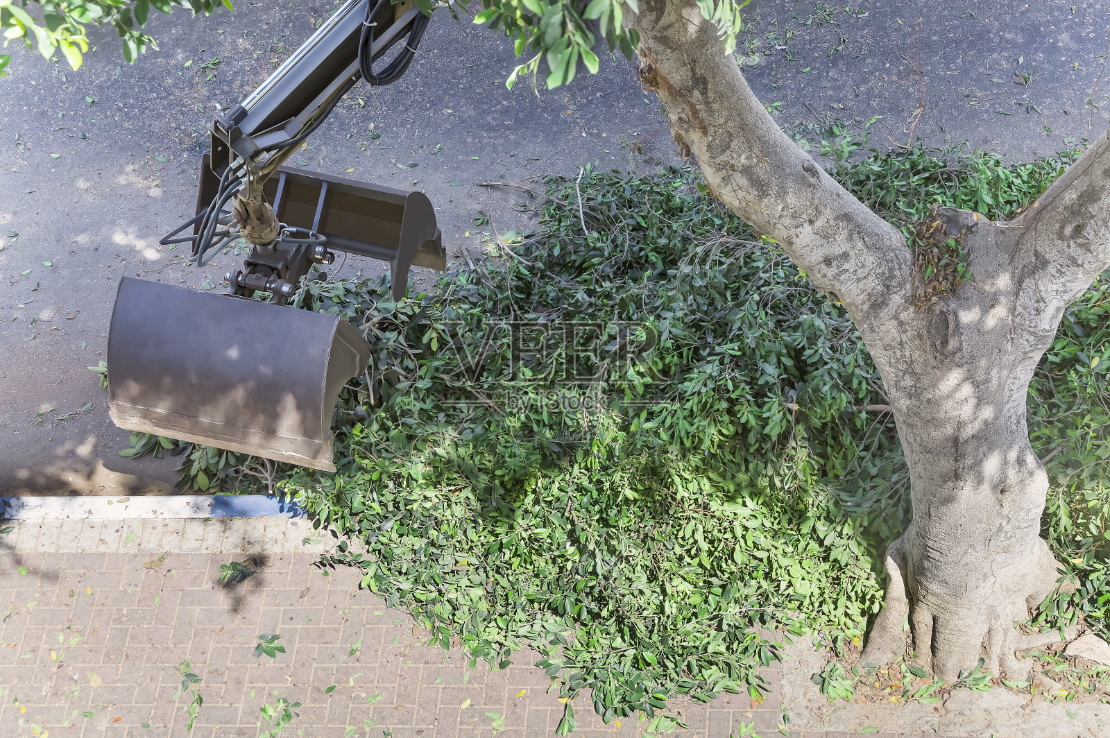 挖掘机铲斗抓取道路上的树枝和树叶照片摄影图片