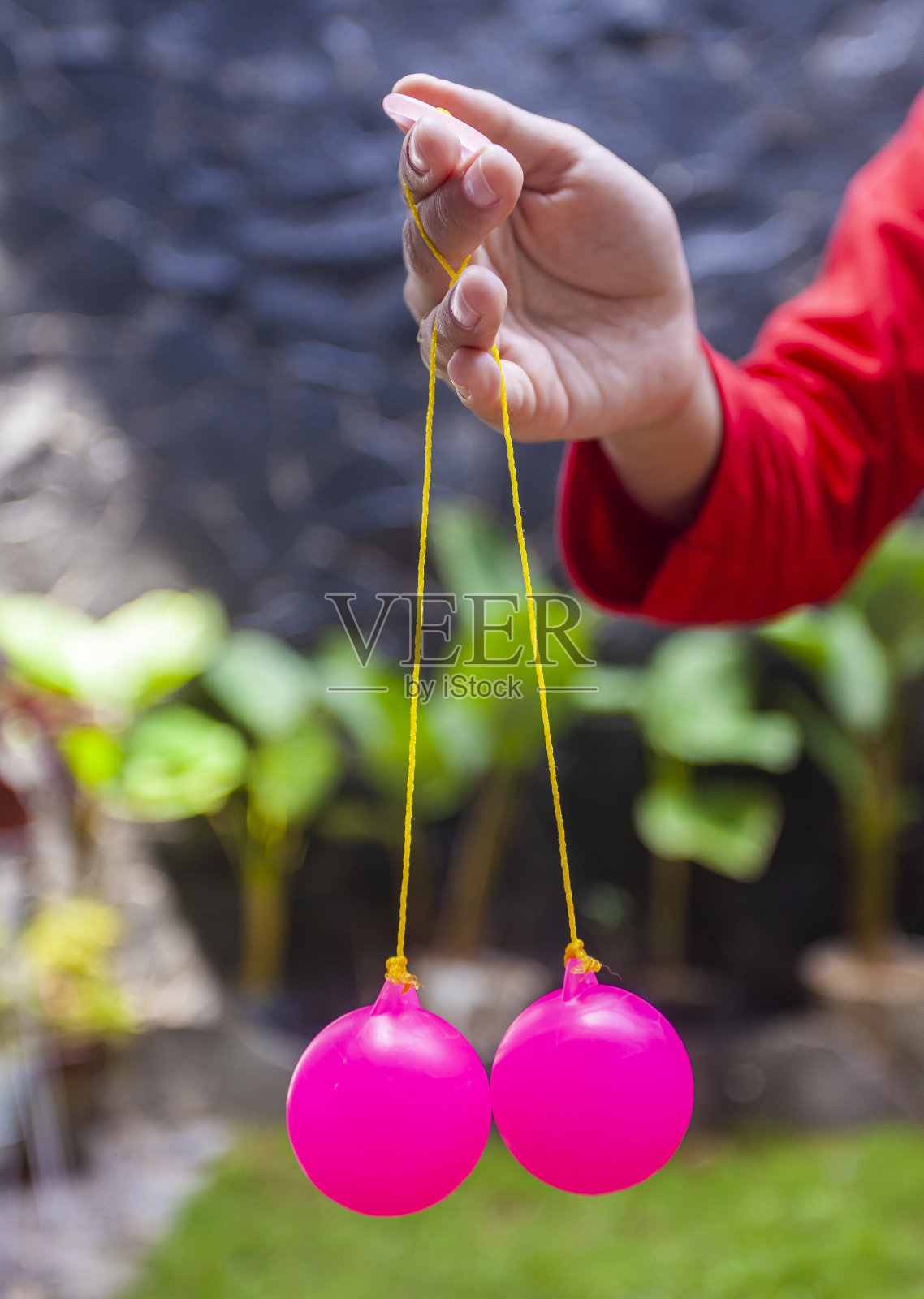 拉托拉托的选择性聚焦照片，这是一种传统的儿童玩具，目前正在走红，特别是在印度尼西亚。许多孩子都玩这个玩具。照片摄影图片