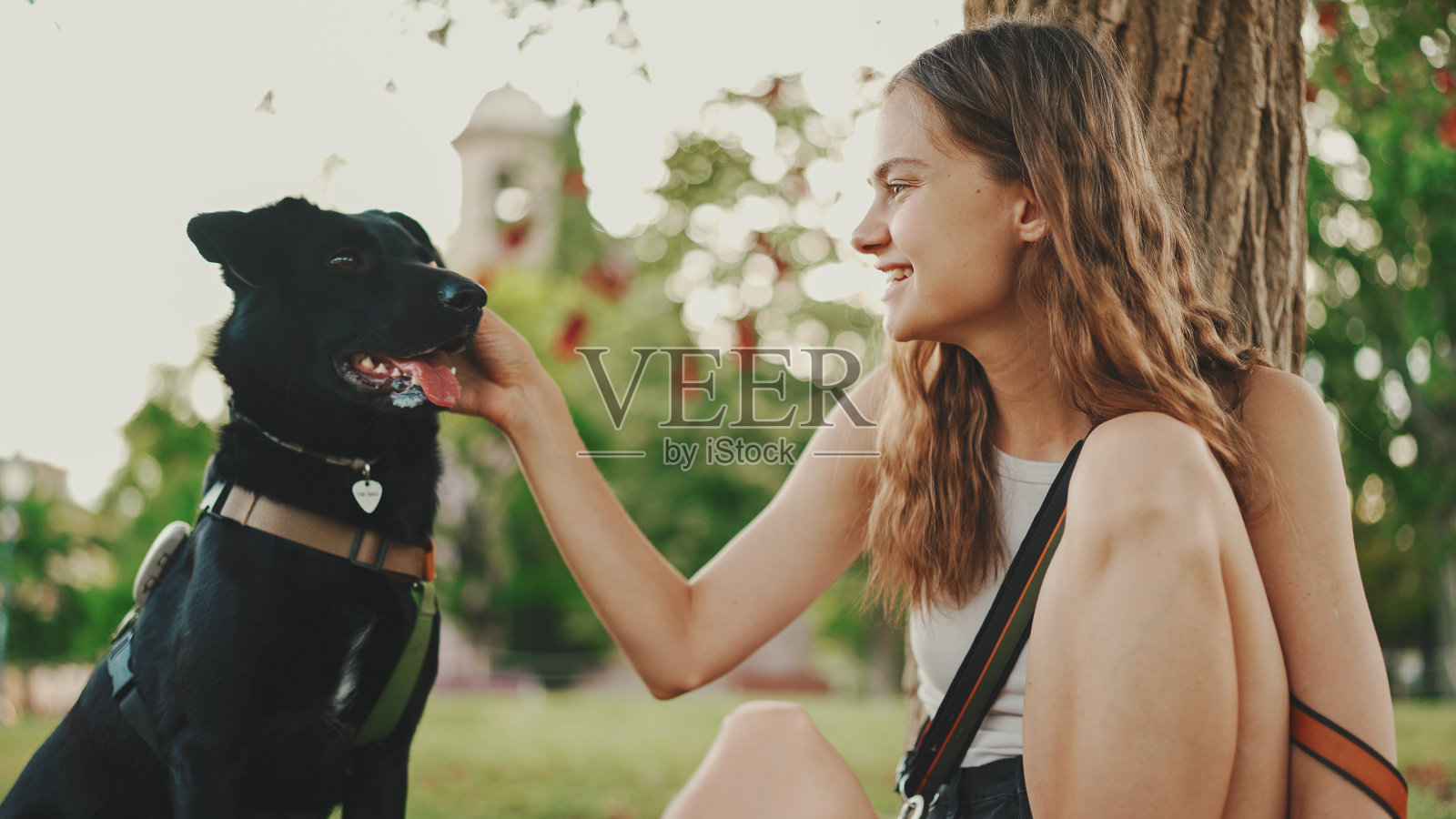 可爱的女孩带着黑色的狗在草坪上的树下休息。快乐的狗喜欢在户外散步。户外动物训练。照片摄影图片